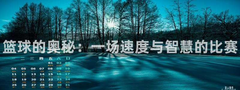 vsport体育官方正版app娱乐:篮球的奥秘:一场速度与智